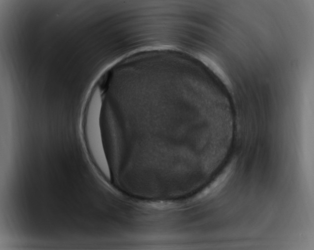 X0000092030797200710041100