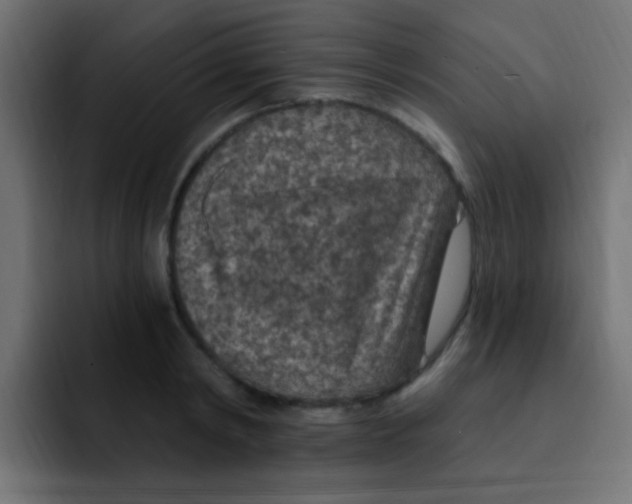 X0000092030798200710041100