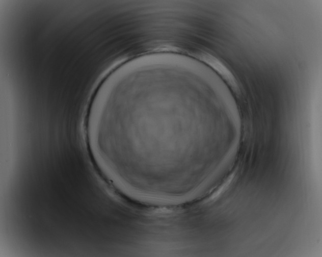 X0000092030806200710041100