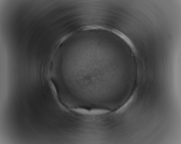 X0000092030809200710041100