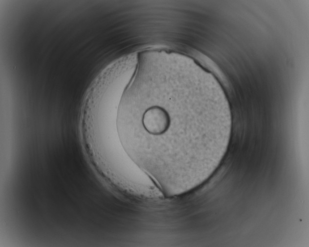 X0000092030810200710041100