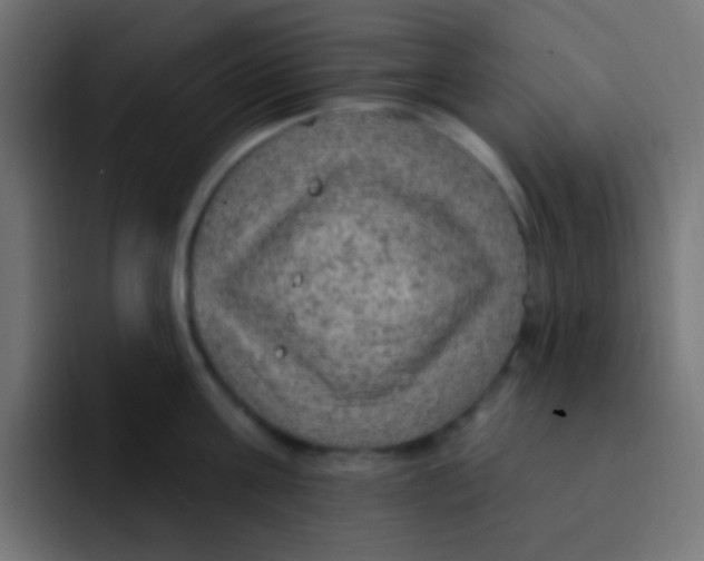 X0000092030811200710041100