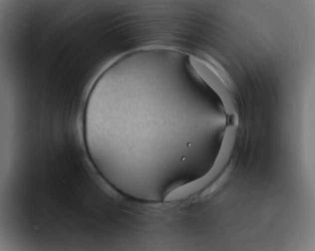 X0000092030812200710041100