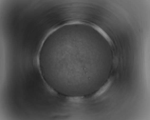 X0000092030813200710041100