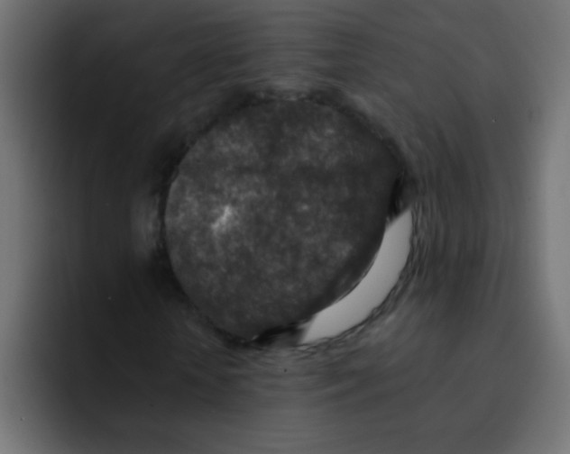 X0000092030818200710041100