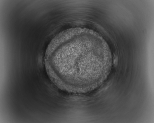 X0000092030819200710041100