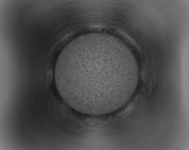 X0000092030821200710041100