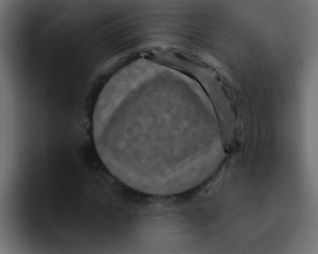 X0000092030822200710041100