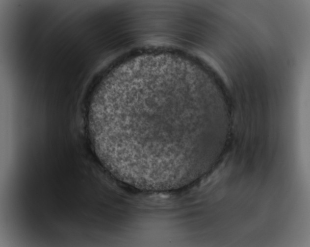 X0000092030823200710041100