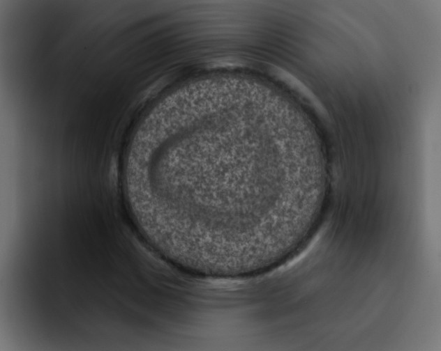 X0000092030825200710041100