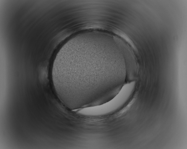 X0000092030826200710041100