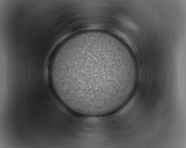 X0000092030827200710041100