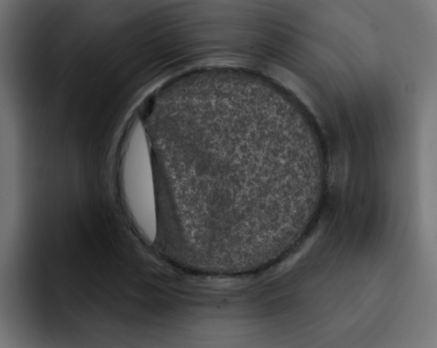 X0000092030829200710041100