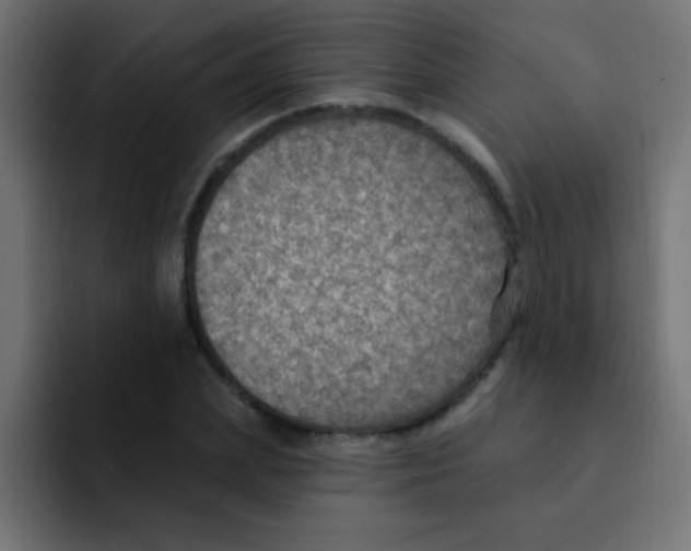 X0000092030831200710041100