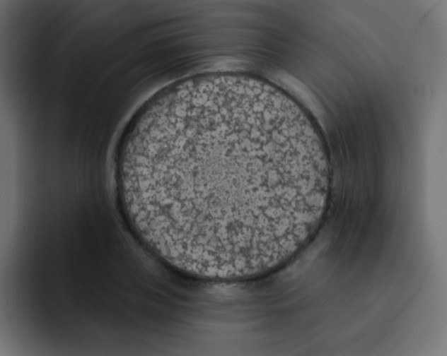 X0000092030835200710041100