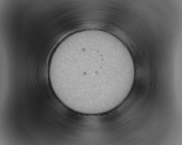 X0000092030836200710041100