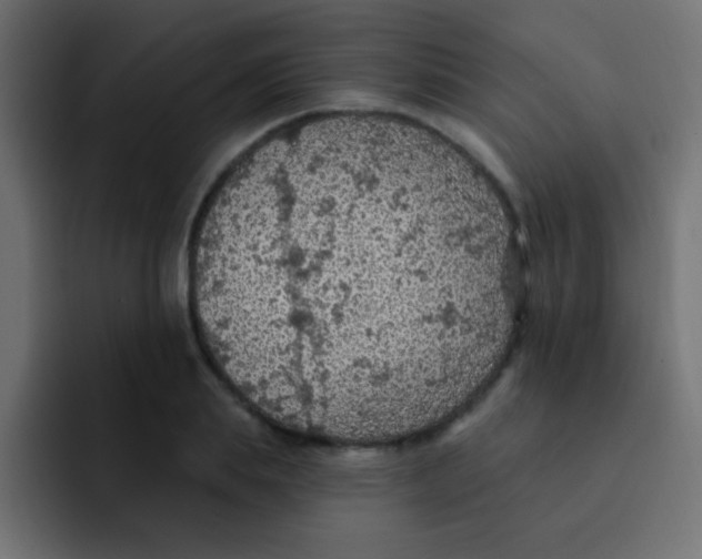 X0000092030839200710041100