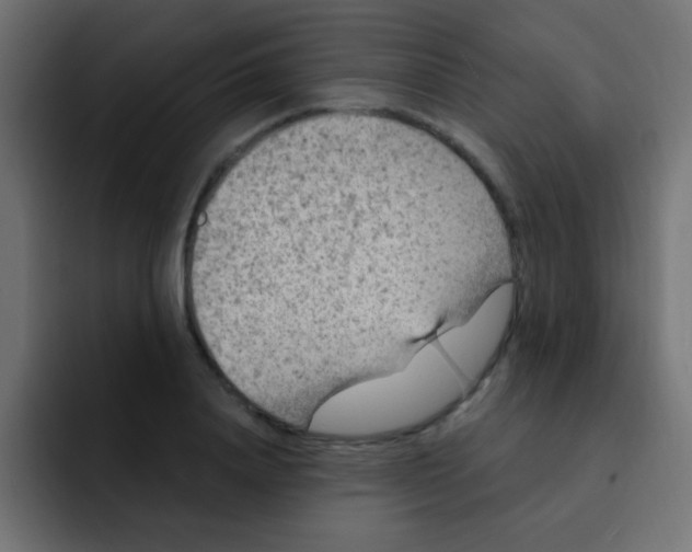 X0000092030840200710041100