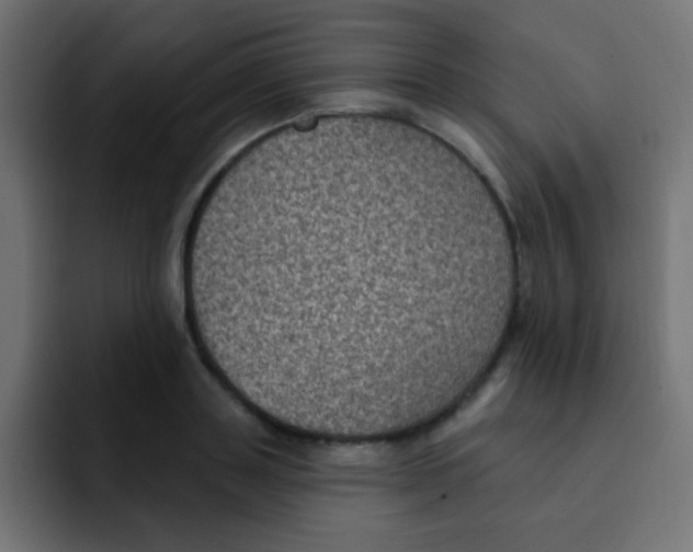 X0000092030843200710041100