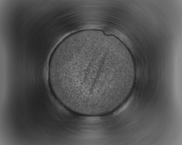 X0000092030844200710041100