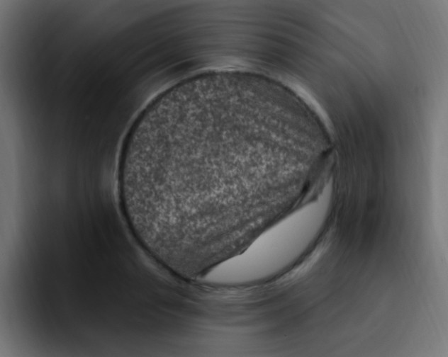 X0000092030845200710041100