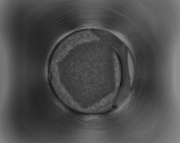 X0000092030846200710041100