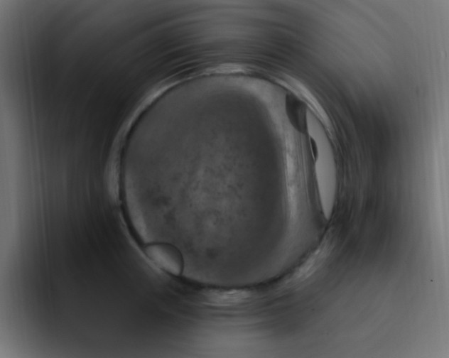 X0000092030851200710041100