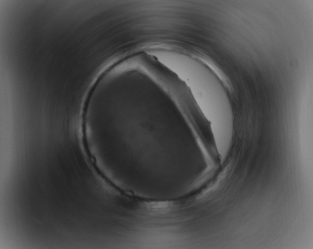 X0000092030853200710041100