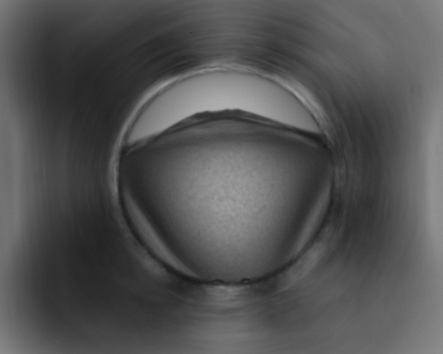 X0000092030854200710041100