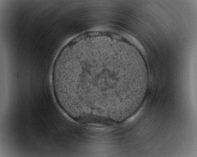 X0000092030855200710041100