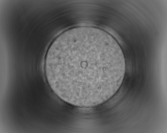 X0000092030856200710041100