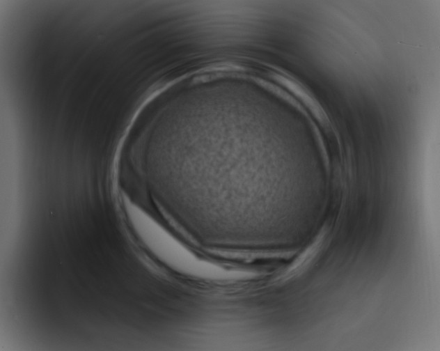 X0000092030858200710041100