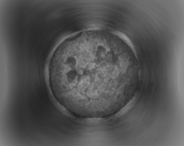 X0000092030859200710041100