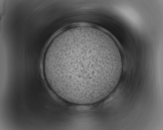 X0000092030861200710041100