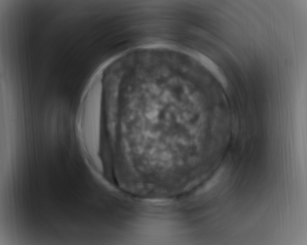 X0000092030863200710041100