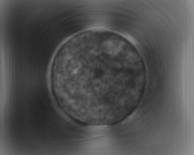 X0000092030864200710041100