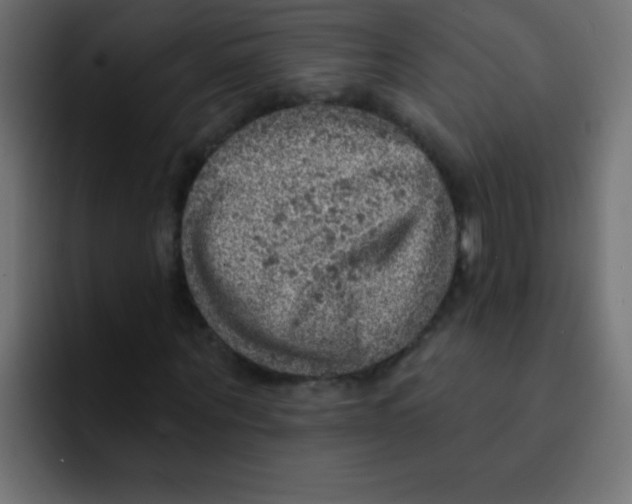 X0000092030867200710041059