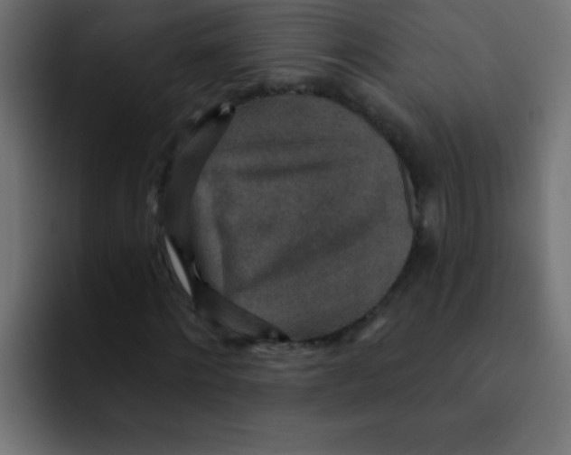 X0000092030868200710041059