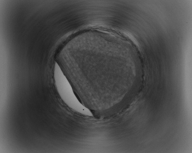 X0000092030872200710041059