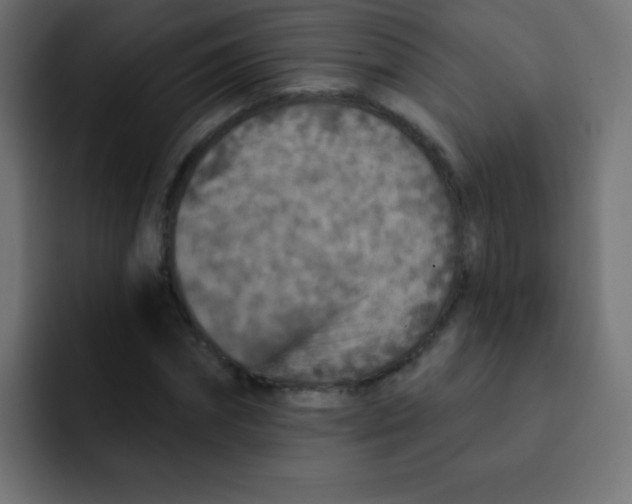 X0000092030874200710041059