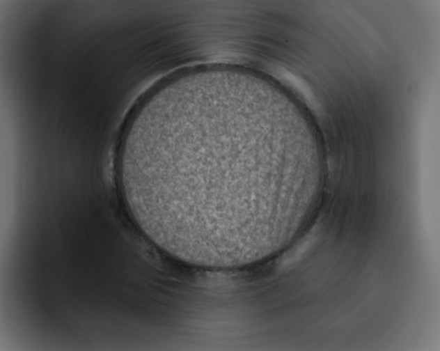 X0000092030875200710041059