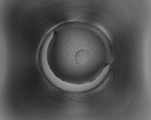 X0000092030876200710041059