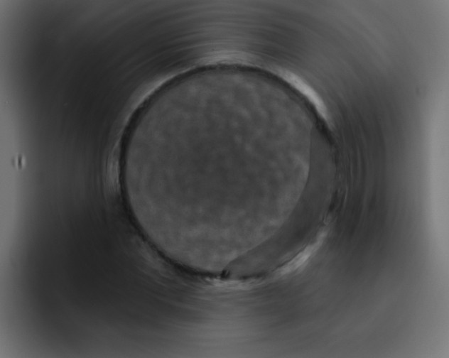 X0000092030877200710041059