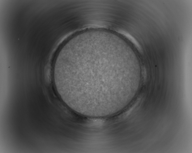 X0000092030878200710041059