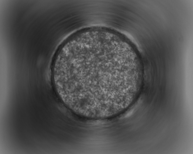 X0000092030879200710041059