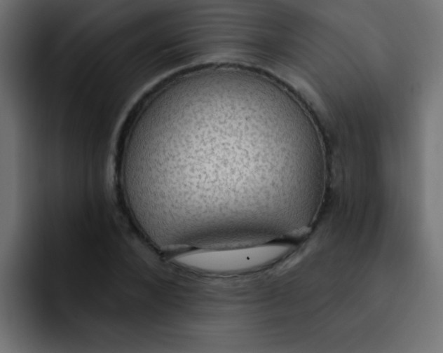 X0000092030880200710041059