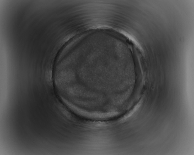 X0000092030881200710041059