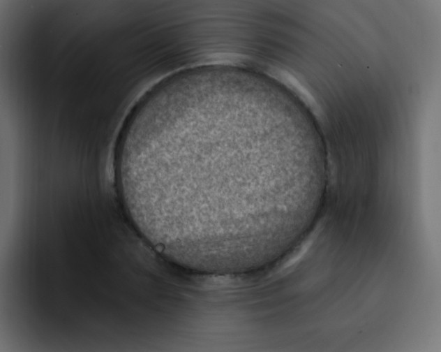 X0000092030883200710041059