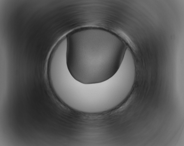 X0000092030884200710041059