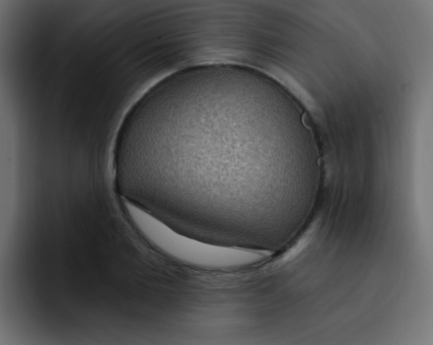 X0000092030885200710041059